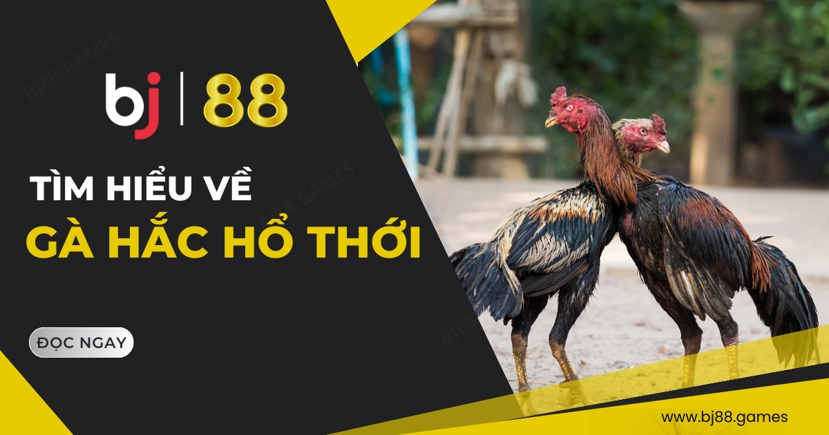 Giới thiệu về bj88 đá gà