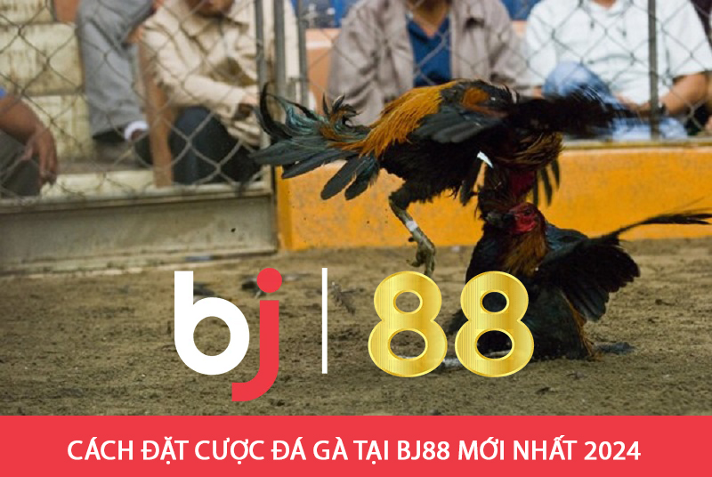 Các tính năng nổi bật của bj88 đá gà